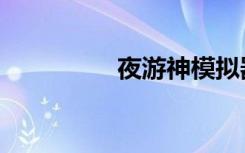 夜游神模拟器（夜游神）
