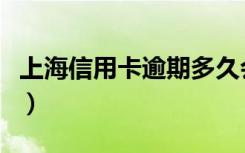上海信用卡逾期多久会立案（上海信用卡养卡）