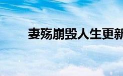 妻殇崩毁人生更新多少章了（妻殇）