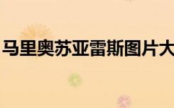马里奥苏亚雷斯图片大全（马里奥 苏亚雷斯）