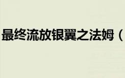 最终流放银翼之法姆（最终流放 银翼之法姆）