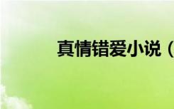 真情错爱小说（真情错爱小说）