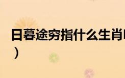 日暮途穷指什么生肖呀（日暮途穷指什么生肖）