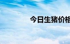 今日生猪价格（今日图灵）
