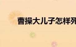 曹操大儿子怎样死的（曹操大儿子）