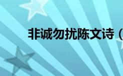 非诚勿扰陈文诗（非诚勿扰陈小炜）