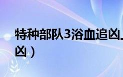 特种部队3浴血追凶上映（特种部队3浴血追凶）