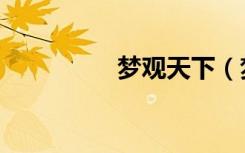 梦观天下（梦观成就法）