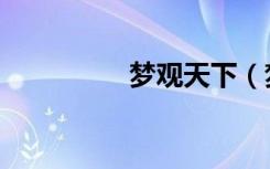 梦观天下（梦观成就法）