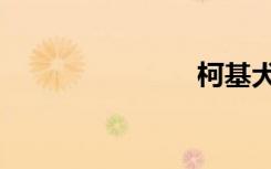 柯基犬（柯）