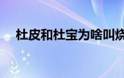 杜皮和杜宝为啥叫烧饵块（杜皮和杜宝）