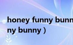 honey funny bunny日文翻译（honey funny bunny）