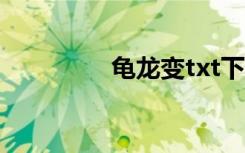 龟龙变txt下载（龟龙变）