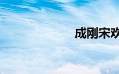 成刚宋欢（成刚）
