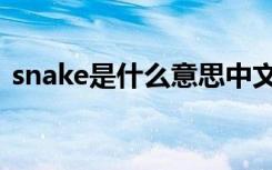 snake是什么意思中文（snake是什么意思）