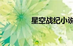 星空战纪小说（星空战纪）