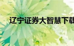 辽宁证券大智慧下载（辽宁证券大智慧）