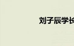 刘子辰学长（刘子辰）