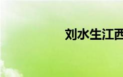 刘水生江西（刘水生）