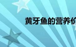 黄牙鱼的营养价值（黄牙老象）