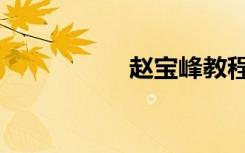 赵宝峰教程（赵宝峰）