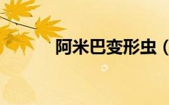 阿米巴变形虫（阿米巴变形虫）