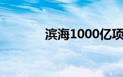 滨海1000亿项目（滨海100）