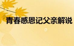 青春感恩记父亲解说（青春感恩记之父亲）