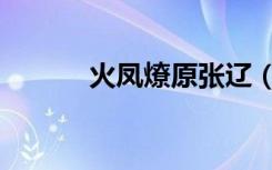 火凤燎原张辽（火凤燎原八奇）