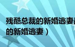 残酷总裁的新婚逃妻最新章节列表（残酷总裁的新婚逃妻）