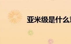亚米级是什么意思（亚米级）