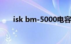 isk bm-5000电容麦克风（isk rm6）