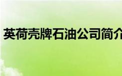 英荷壳牌石油公司简介（英荷壳牌石油公司）