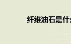 纤维油石是什么（纤维油石）