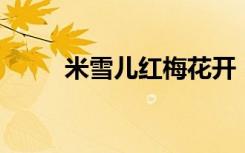 米雪儿红梅花开（米雪儿 麦库尔）