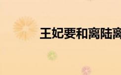 王妃要和离陆离（王妃要改嫁）