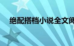 绝配搭档小说全文阅读（绝配搭档小说）