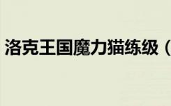洛克王国魔力猫练级（洛克王国魔力猫练级）