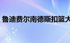 鲁迪费尔南德斯扣篮大赛（鲁迪费尔南德斯）