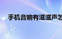 手机音响有滋滋声怎么解决（手机音响）