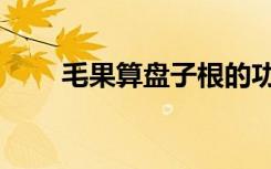 毛果算盘子根的功效（毛果算盘子）