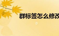 群标签怎么修改（群标签大全）