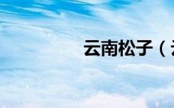 云南松子（云南松毛虫）