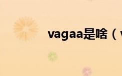 vagaa是啥（vagaa关键词）