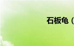 石板龟（石板龟）