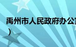 禹州市人民政府办公室主任（禹州市人民政府）