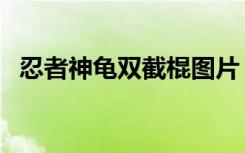 忍者神龟双截棍图片（忍者神龟双重出击）