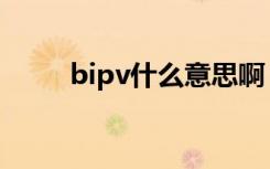 bipv什么意思啊（bipv什么意思）
