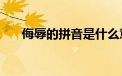 侮辱的拼音是什么意思（侮辱的拼音）
