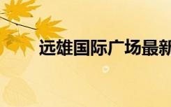 远雄国际广场最新消息（远雄大观）